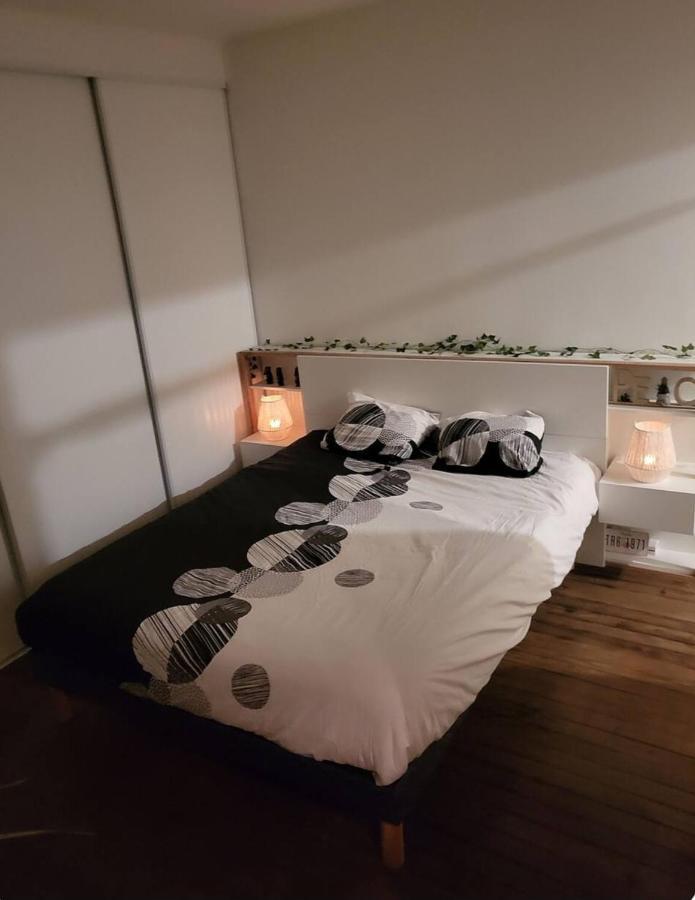 T2 Cosy Autonome H24 Parking Prive Attenant Tv 165Cm Netflix Wi-Fi Au Rez-De-Chaussee アランソン エクステリア 写真